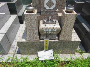 CIMG0938