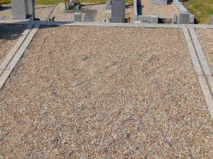 DSCF0086
