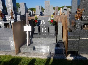 DSCF0111