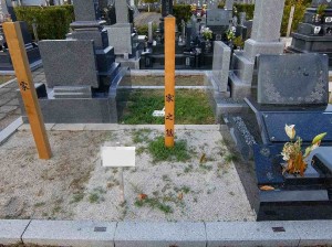 DSCF0465