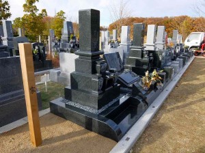 DSCF0484