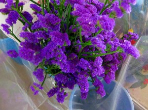 DSCF0542
