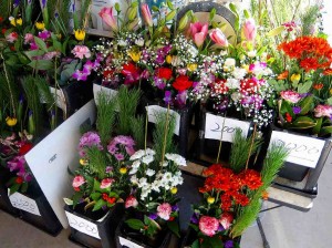 DSCF0546