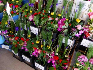 DSCF0547