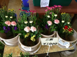 01090b3fe52581f41b0ed8ed127ccba83fed2cb0a6