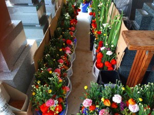 01c7877c55d2bc15bd6374daaebb08a22d2fbc3e25