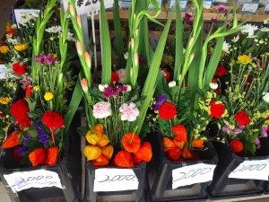 01efab520460afdbeb2b2dc799daa49848abff91c0