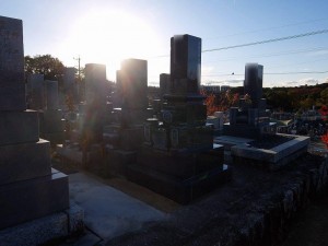 DSCF1622