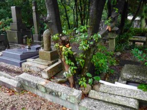 樹木の根により外角が破壊