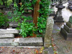 樹木の根により外角が破壊