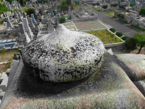 クリーニング前