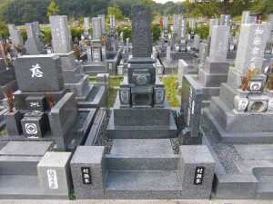 みどりが丘公園3.00