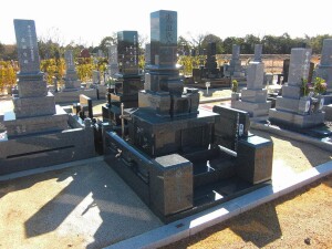 みどりが丘公園3.00