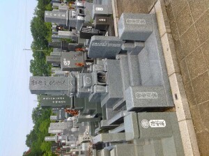 みどりが丘公園3.00