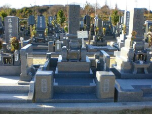 みどりが丘公園3.00