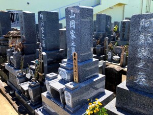 石種：真壁小目　側面