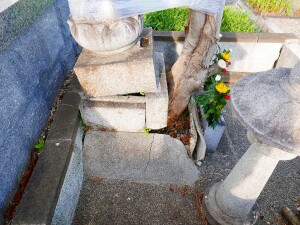 既存の石仏から樹木